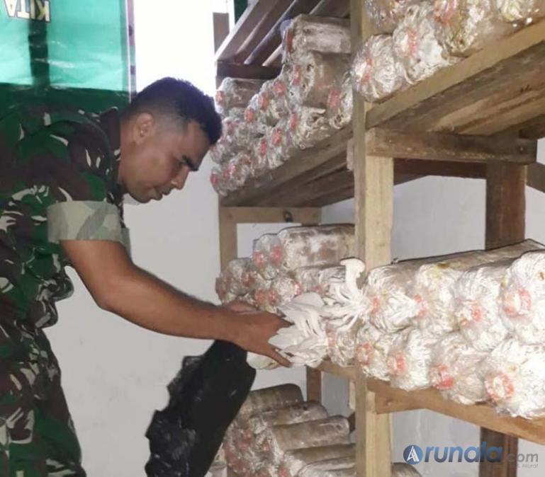 Danramil 05/Pauh Kuranji Padang, Kapten Inf Irsyad memperlihatkan jamur tiram hasil budidaya Koramil tersebut, Rabu (26/2). (Foto : dyz)