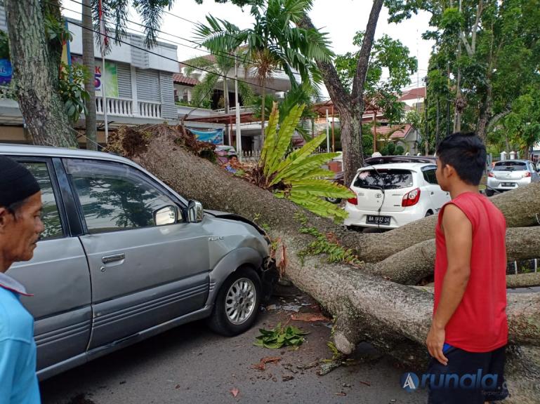 Dua unit mobil ringsek ditimpa pohon tumbang, Rabu pagi (4/3). (Foto : dyz)