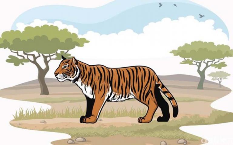 Ilustrasi harimau. (detikcom)