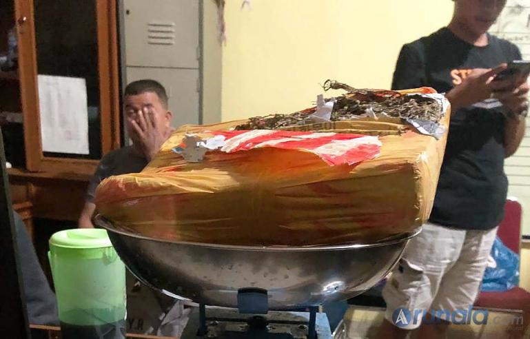 Barang bukti ganja kering seberat 1 kg yang berhasil ditemukan Satnarkoba Pessel, Selasa (18/8). (Foto : Snm)