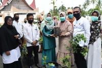 8 KWT Pariaman Dapat Bantuan Bibit dan Tanaman