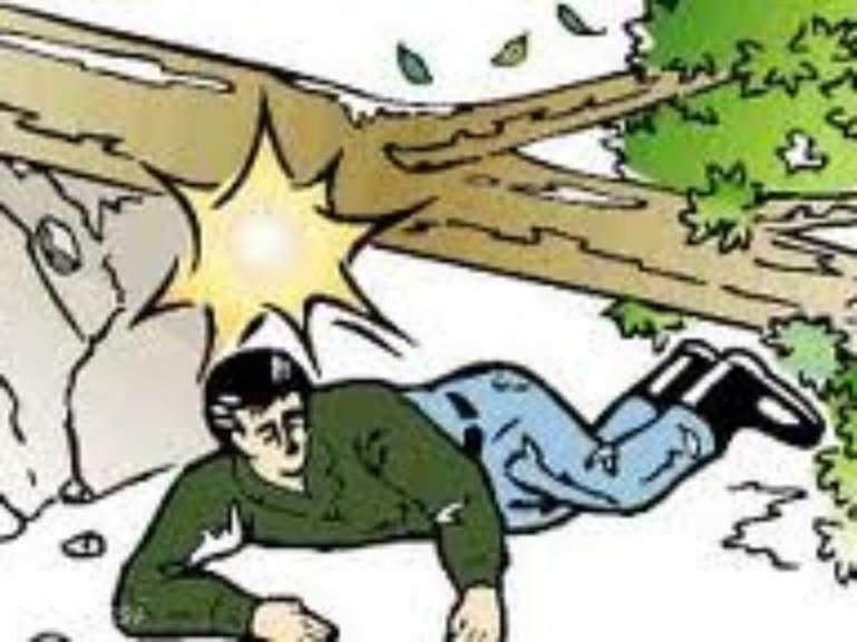 Ilustrasi korban tertimpa pohon. (Dok : Istimewa)