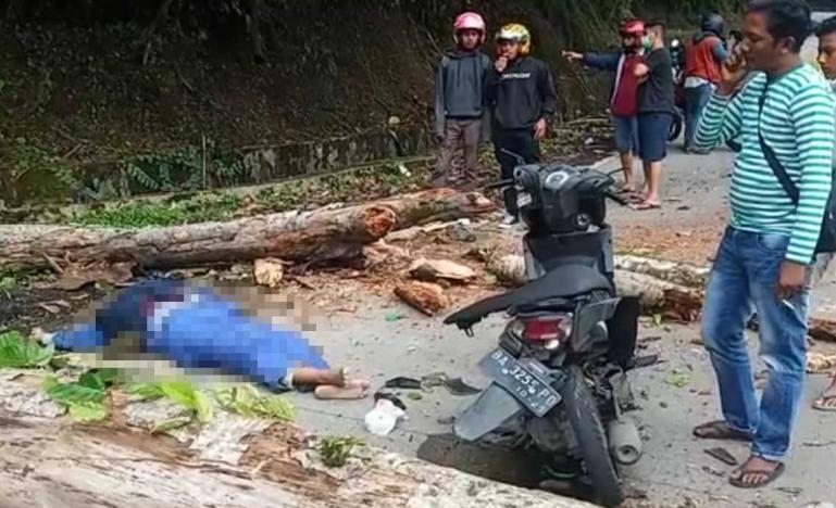 Seorang pengendara motor tewas tertimpa pohon di jalur Padang-Solok, tepatnya di kawasan Sitinjau Laut, Kelurahan Indarung, Kecamatan Lubuk Kilangan Kota Padang, Rabu (30/12). (Foto : Istimewa)