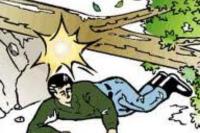 Pemotor yang Tewas Tertimpa Pohon Itu Ternyata Mahasiswa Unand