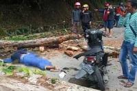 Identitas Korban Belum Diketahui: Seorang Pemotor Tewas Tertimpa Pohon
