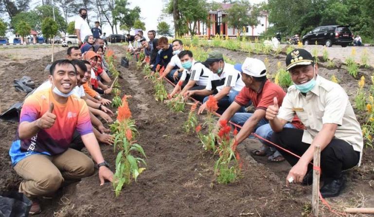 Wali Kota Pariaman, Genius Umar ikut menanam bunga bersama jajaran Dinas Parbud di taman bunga Pantai Kata, Rabu (13/1). (Dok : Istimewa)
