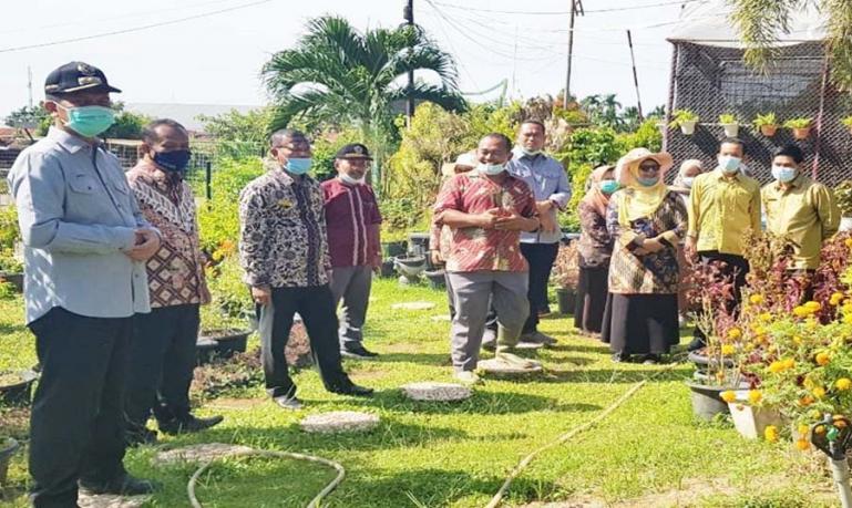 Wali Kota Pariaman, Genius Umar saat meninjau Balai Benih Induk Dinas Pertanian Tanaman Pangan dan Holtikultura Sumbar, Kamis (21/1). (Dok : Istimewa)