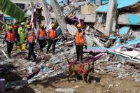 Selama Januari 2021 Terjadi 185 Bencana: BNPB Mencatat Korban Gempa Bumi Terbanyak