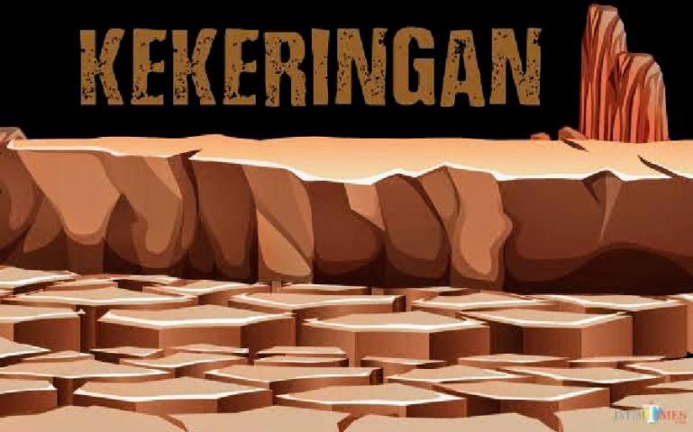 Ilustrasi kekeringan. (Dok : Istimewa)