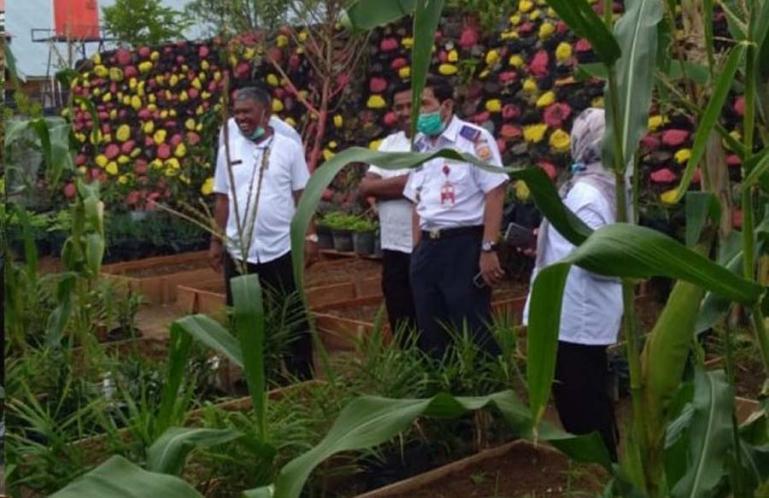 KWT BOHAI Desa Rawang dapat kunjungan dari Camat Pariaman Tengah dan beberapa pimpinan OPD beberapa waktu lalu. (Dok : Istimewa)