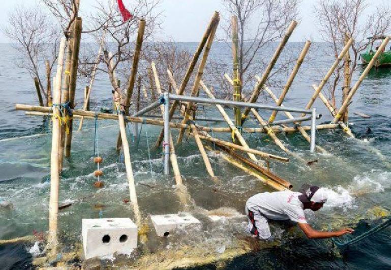 Seorang nelayan membuat rumpon ikan. (Dok : Istimewa)