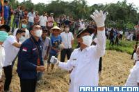 Festival Layang-Layang Danguang Dibuka