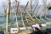 Potensi Laut Sumbar Segera Dioptimalkan: Siapkan 1.000 Rumpon dan Tambak Milenial bagi Nelayan