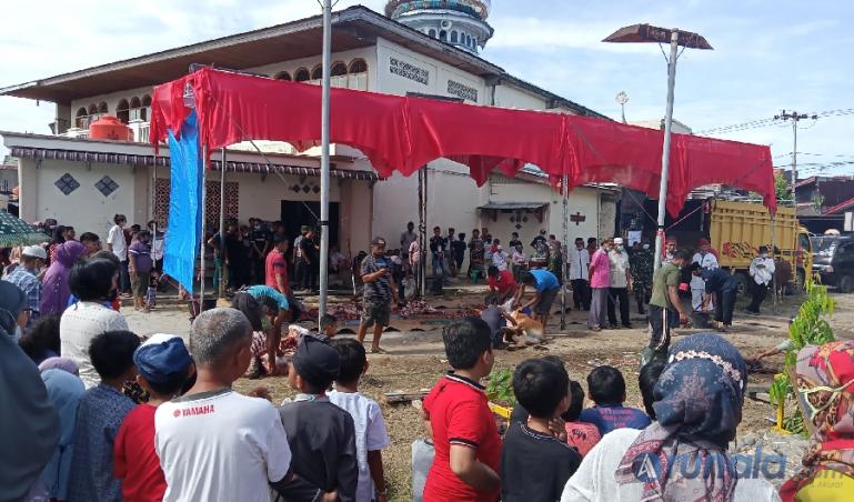 Suasana penyembelihan hewan kurban di halaman Masjid Al Hijriah Siteba Padang, (20/7). (Foto : Arzil)