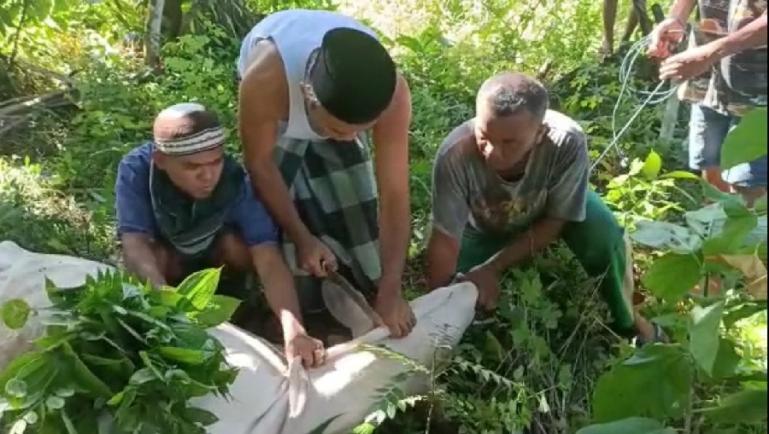 Pemotongan hewan kurban dari Andre Rosiade di Mushalla Baitul Huda, Pasa Lalang, Kelurahan Kuranji, Kecamatan Kuranji, Kota Padang, Kamis (22/7). (Dok : Istimewa)