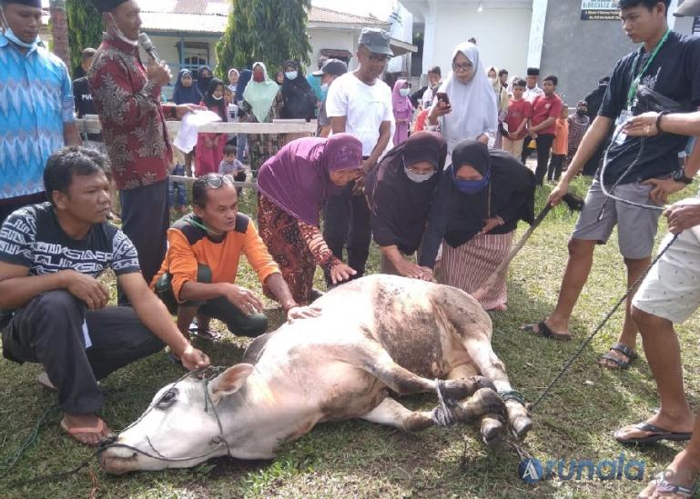Panitia kurban Musala Rahmatan Lil Alamin saat akan menyembelih hewan kurban di halaman musala, Selasa pagi (20/7). (Foto : Derizon)
