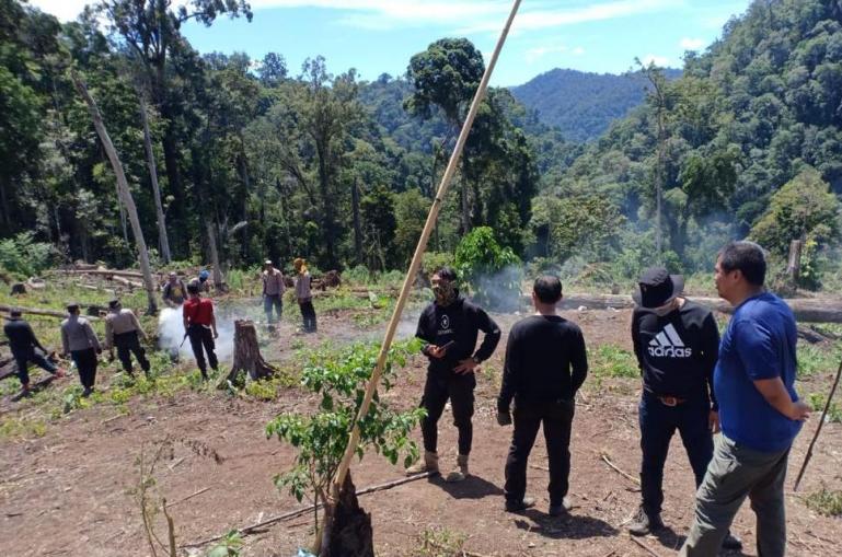 Tim Direktorat Tindak Pidana Narkoba Bareskrim Polri musnahkan tujuh hektare ladang ganja di area Gunung Lauser, , Aceh, beberapa hari lalu. (Dok : Istimewa)