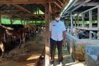 DP3 Pariaman Pantau Hewan Kurban