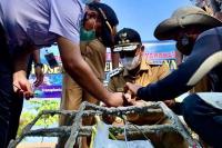 Wali Kota Pariaman, Genius Umar didampingi Direktur Poltekpel Sumbar, Capt M Abduh saat melihat terumbu karang buatan mahasiwa Poltekpel Sumbar, Senin (30/8). (Dok : Istimewa)