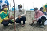 Lestarikan Kawasan Pesisir: DKP Sumbar Tanam Mangrove dan Cemara Laut