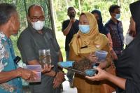 Pemanfaatan Ulat Maggot jadi Pupuk Organik: Ketua DPRD Sumbar Dukung Inovasi TPA Mungka