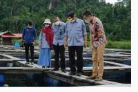 Permintaan Ikan Kerapu di Luar Negeri Tinggi