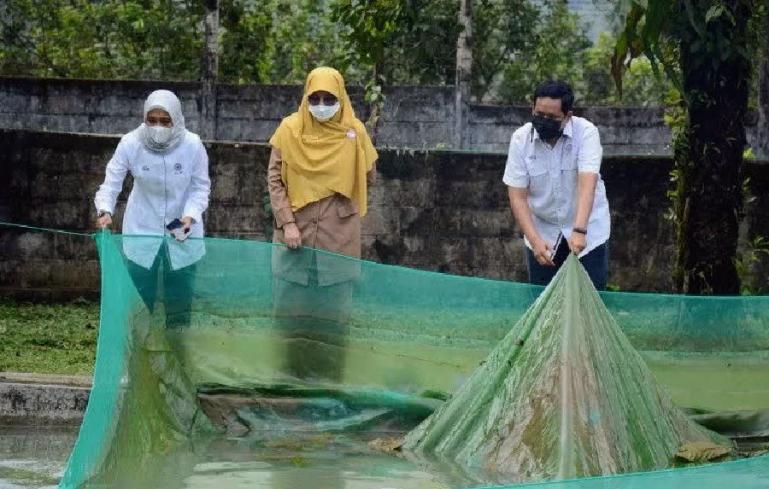 Kepala DKP Sumbar Desniarti (tengah) didampingi Kepala Unit Humas dan Kesekretariatan PT Semen Padang Nur Anita Rahmawati (kiri) dan staf CSR Jimi (kanan) saat berkunjung ke area konservasi bilih PT Semen Padang, Senin (14/3). (Dok : Istimewa)