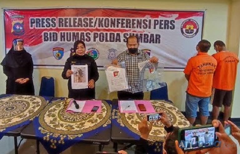 Kepala Subdit Jatanras Ditreskrimum Polda Sumbar, AKBP Jefri Indra Jaya perlihatkan barang bukit kejahatan dua pelaku pencuri ternak di Mapolda Sumbar, Kamis siang (31/3). (Foto : Derizon)