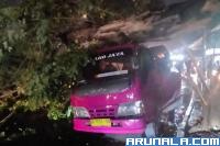 Akibat Hujan Lebat Disertai Angin Kencang: Sebuah Bus Tertimpa Pohon di Simpang Labor Padang