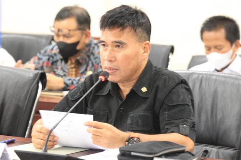 Anggota DPD RI asal daerah pemilihan (Dapil) Sumbar, Alirman Sori. (Dok : Istimewa)