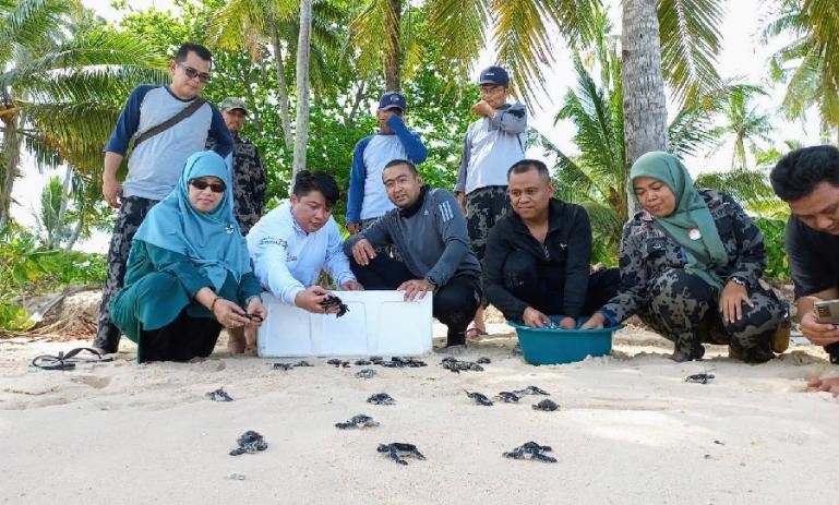 Wagub Sumbar Audy Joinaldy didampingi Kadis Kelautan dan Perikanan Sumbar Desniarti melepas 230 ekor tukik di di Pulau Karabak Ketek Taman Perairan KKPD di Wilayah Pesisir, Pessel, Senin (23/5). (Dok : Istimewa)