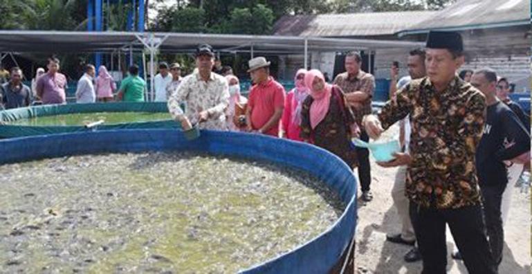 Wali Kota Genius Umar saat meninjau Kampung Perikanan Budidaya Lele di Desa Cubadak Air, Kecamatan Pariaman Utara, Sabtu (4/6). (Dok : Istimewa) 18 23