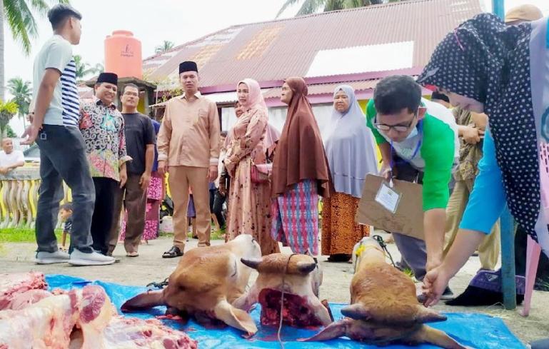 Wako Genius Umar bersama istri memantau masyarakat yang lakukan penyembelihan hewan kurban di kota itu, Minggu (10/7). (Dok : Istimewa)