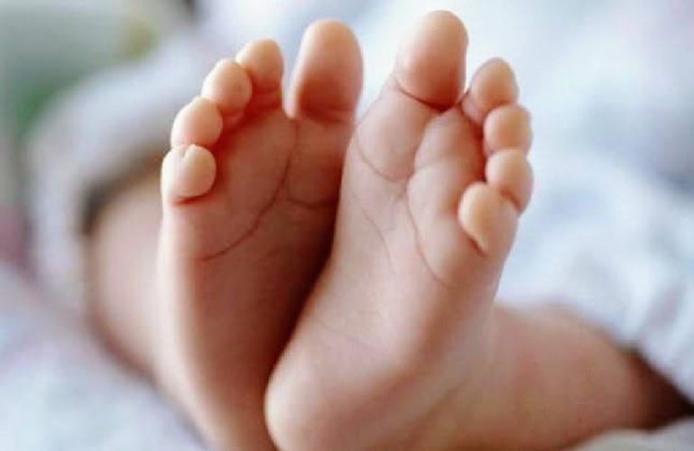 Ilustrasi bayi. (Dok : Istimewa)