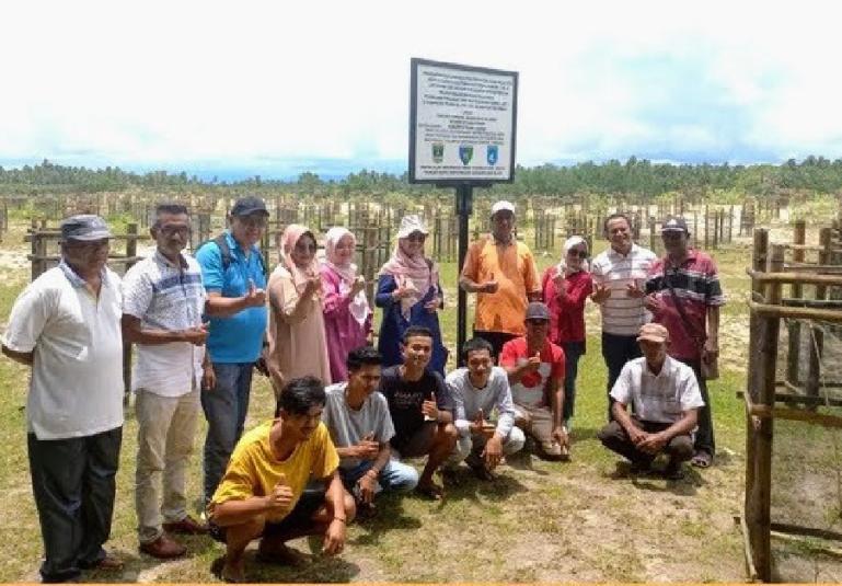 Kadis Kelautan dan Perikanan Sumbar, Dr Ir Desniarti MM saat peninjauan dan serah terima cemara laut yang telah selesai ditanam di Nagari Nyiur Melambai Pelangai, Kecamatan Ranah Pesisir, Pessel, Sabtu (17/9). (Dok : Istimewa)