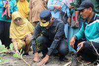 Gubernur Mahyeldi Sebut Cemara Laut Bisa Cegah Abrasi Pantai