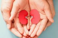 Ortu Diminta Waspada dan Perhatikan Frekuensi BAK Anak