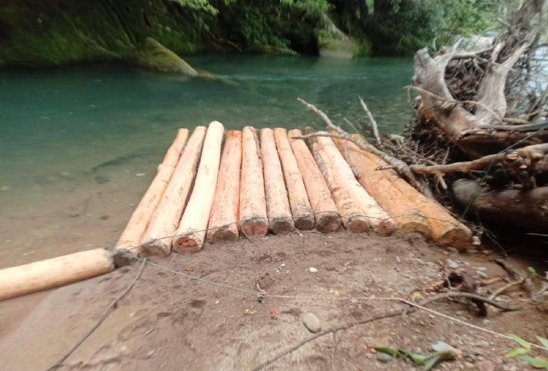 Tumpukan kayu jarah hasil illegal logging yang ditemukan warga di salah satu aliran sungai di Pessel, Sabtu siang (19/11). (Dok : Istimewa)