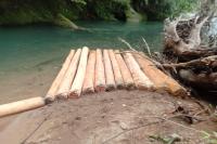 Aksi Illegal Logging kembali Marak di Pesisir Selatan: Alirman Sori Desak Pemkab Pessel Gelar Razia Terpadu