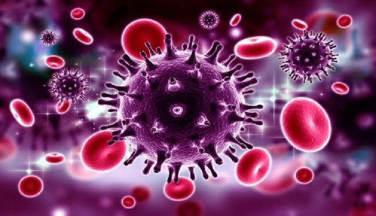 Ilustrasi virus HIV/AIDS. (Dok : Istimewa)