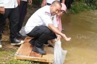 Wagub Sumbar Tebar 15 Ribu Bibit Ikan di Nagari Sikabu