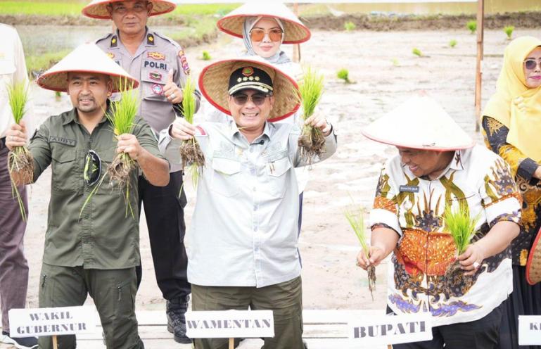 Wamentan, Harvick Hasnul Qolbi didampingi Wagub, Audy Joinaldy dan Bupati Padangpariaman Suhatri Bur, memanen padi di Padangpariaman, Kamis (23/2). (Dok : Istimewa)