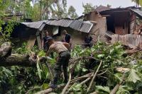 Pohon Tumbang, Satu Rumah Rusak di Padang