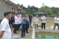 Kadis DKP Sumbar Survei Calon Indukan Ikan Garing