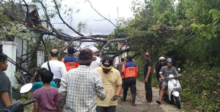Personil BPBD Kota Padang memotong pohon tumbang yang ada di Komplek Rindang Alam Kota Padang, Minggu (28/5) sekitar pukul 16.00 WIB. (Dok : Istimewa)