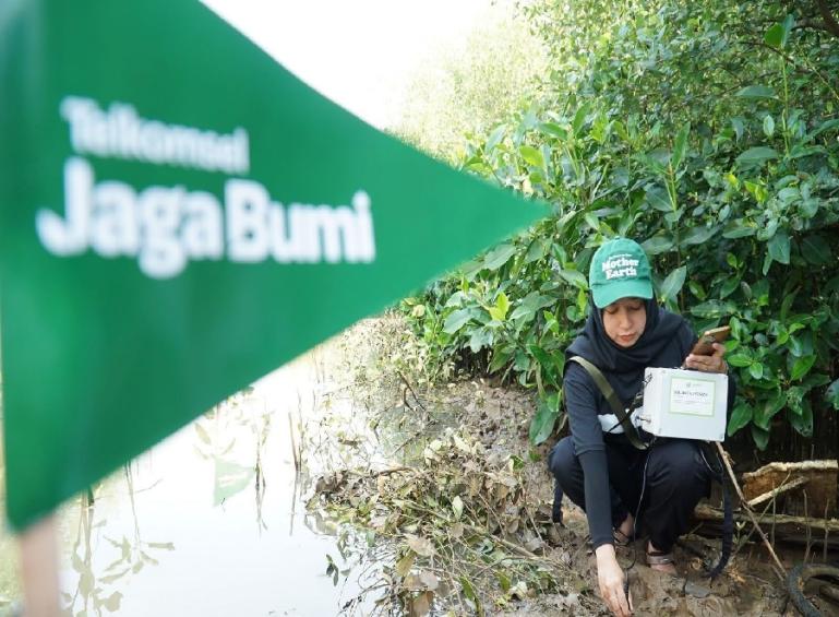 Telkomsel bersama Jejak.in melakukan penanaman pohon mangrove yang turut dihadiri oleh perwakilan pelanggan, komunitas lokal dan warga Desa Bedono, serta employee volunteer dari Telkomsel di Mangrove Bedono Demak, Selasa (13/6).(Dok : Istimewa)