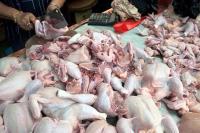 Ikan Langka, Picu Harga Daging dan Telur Ayam Naik