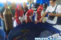 2nd Sumatera Barat Youth Koi Show 2023 Resmi Dibuka: Kadis DKP Sumbar Dorong Masyarakat Budidaya Koi