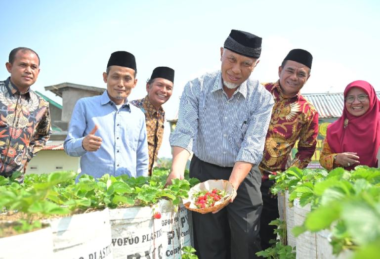 Gubernur Sumbar Mahyeldi saat buka Festival Pertanian Organik di Masjid Al-Safar, Jorong Batu Gadang, Padang Laweh, Sungai Pua, Kabupaten Agam, Minggu (8/10). (Dok : Istimewa)