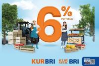 Bunga dan Angsuran KUR BRI: Cara Mengelola Keuangan Usaha Anda